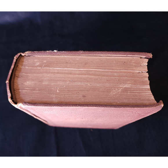 The Peoples Common Sense Medical Adviser RV Pierce Seventeenth Edition 1888 VTG - Picture 3 of 11